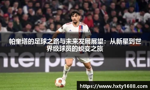 金年会官网